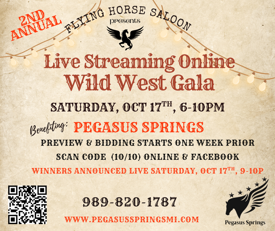 Campaign cover image for 2026 Wild West Gala STREAMING ONLINE