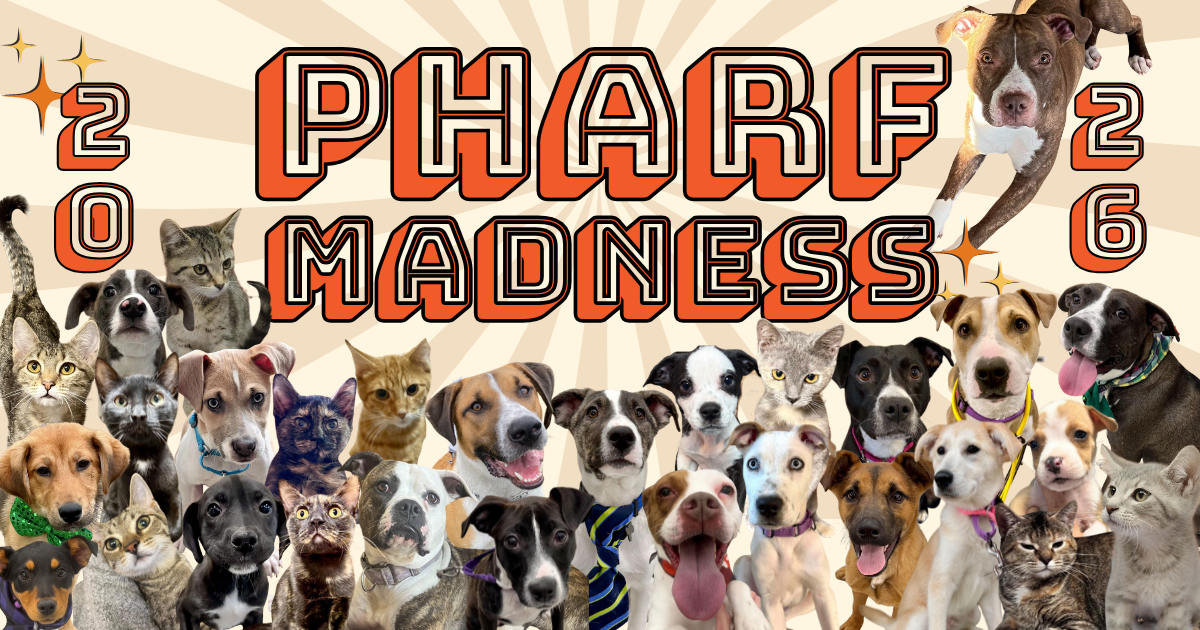 Campaign cover image for PHARF MADNESS 2026