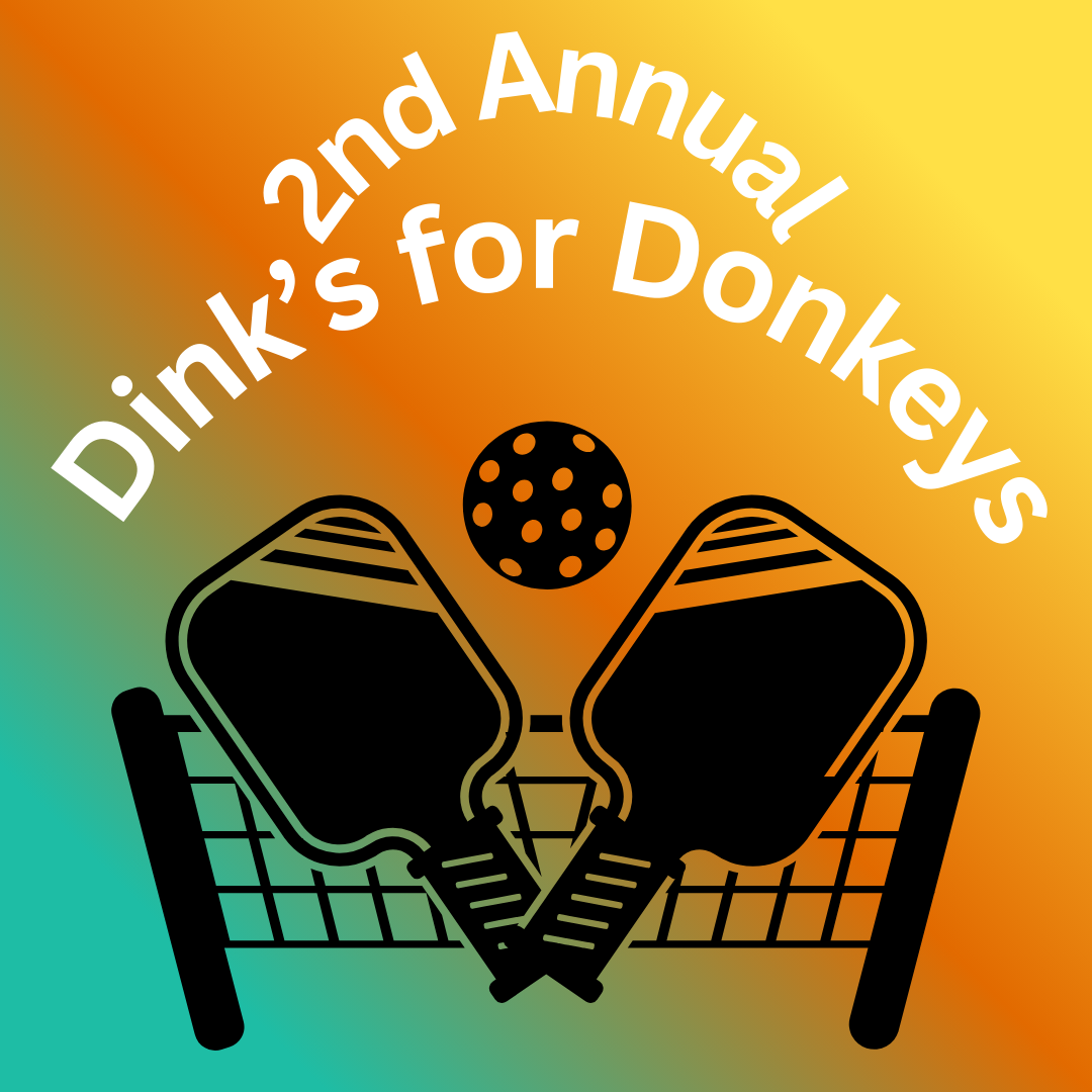 Campaign cover image for 2nd Annual Dinks for Donkeys