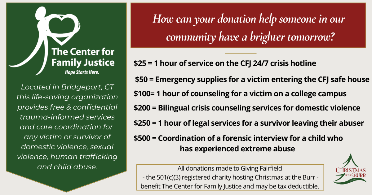 Campaign cover for Christmas at the Burr donation to benefit The Center for Family Justice