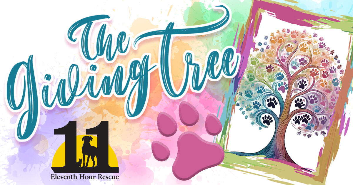 Campaign cover image for Eleventh Hour Rescue Giving Tree Mural
