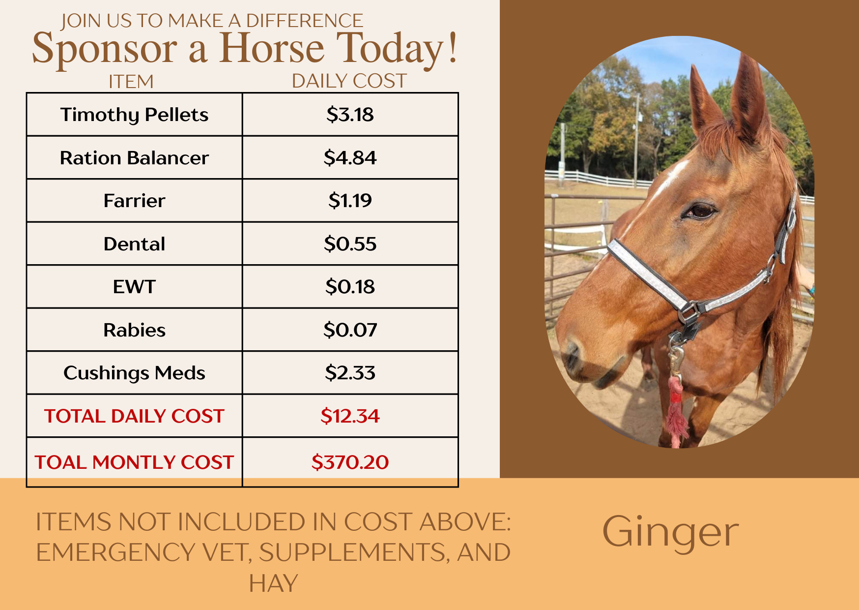 Campaign cover image for Ginger Sponsorship