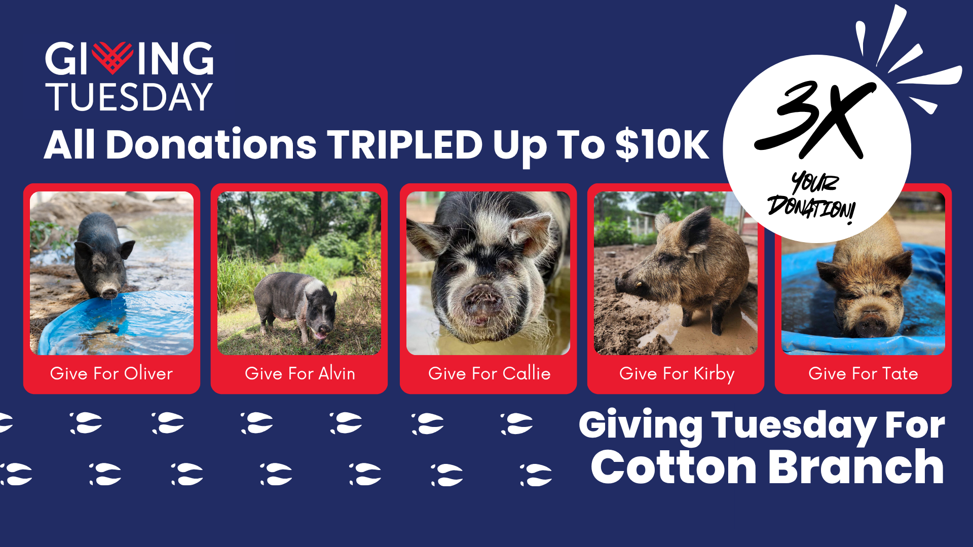 Campaign cover image for Giving Tuesday | TRIPLE Your Donation!