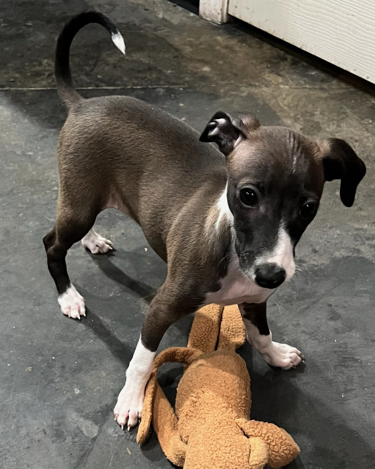 Campaign cover image for Neo makes you ugly-cry