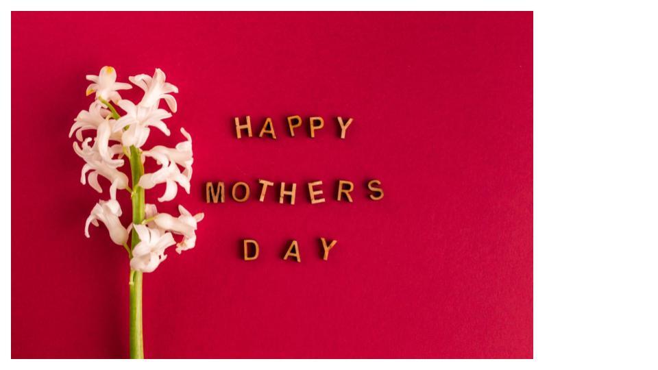 Campaign cover image for Honor a Jewish Mother for Mother's Day!