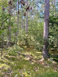 Campaign cover image for Fighting Amazon in Vermont