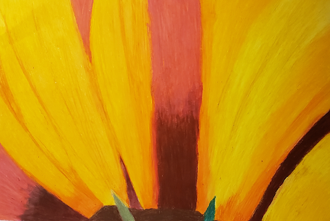 Campaign cover image for 8.14.25 Creation Class