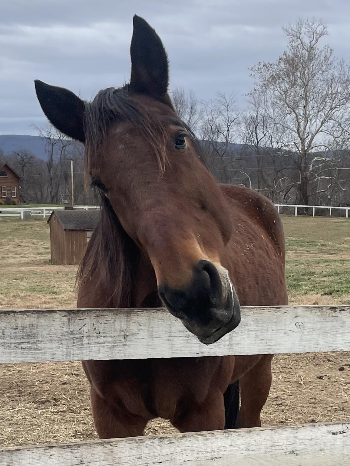 Campaign cover image for Giving Tuesday - Keep The Kindness Going!