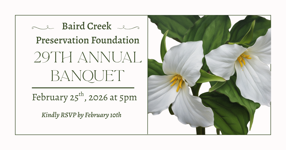 Campaign cover image for 29th Annual Baird Creek Banquet