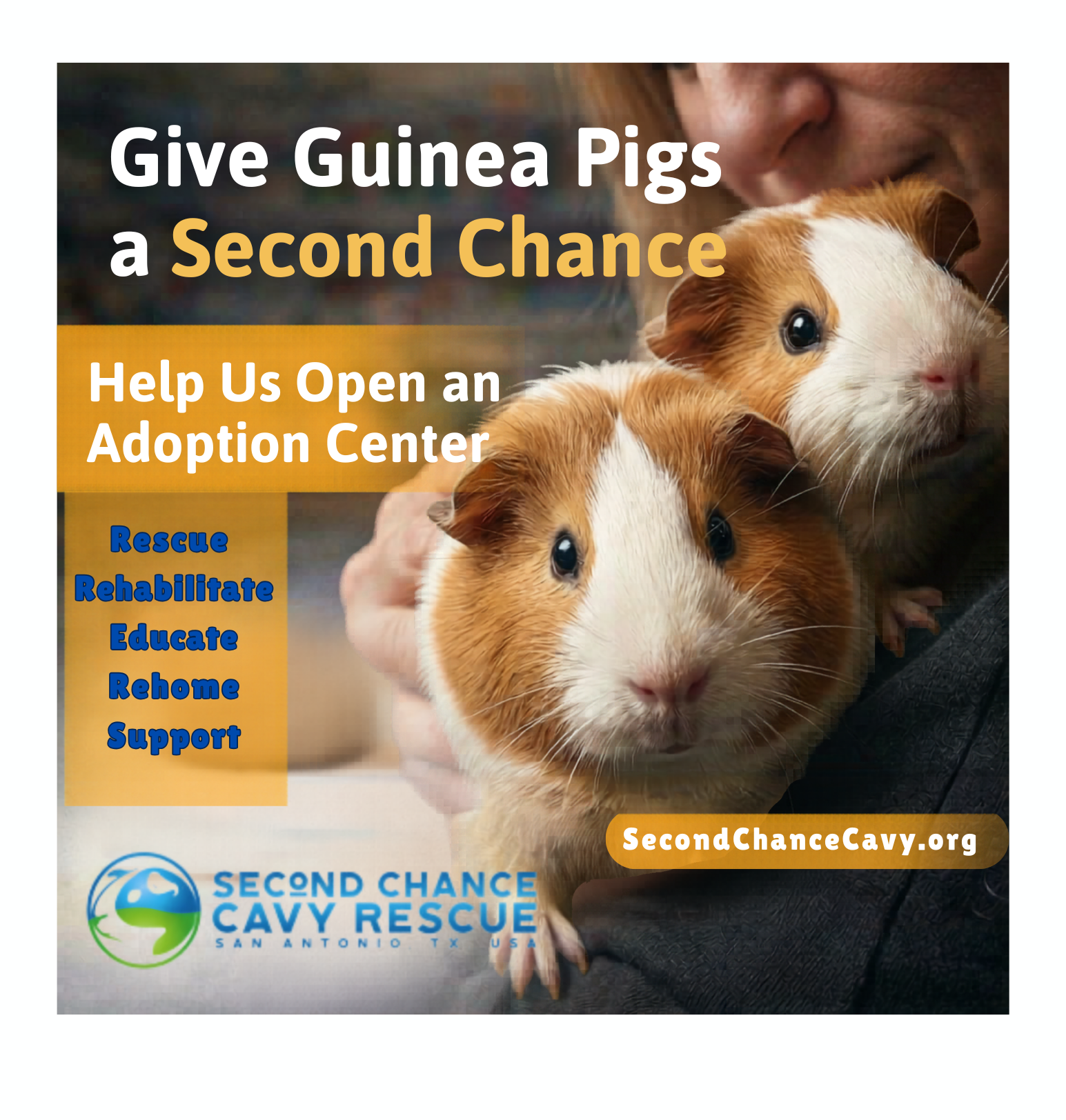 Campaign cover for Help Second Chance Cavy Rescue Open An Adoption Center!