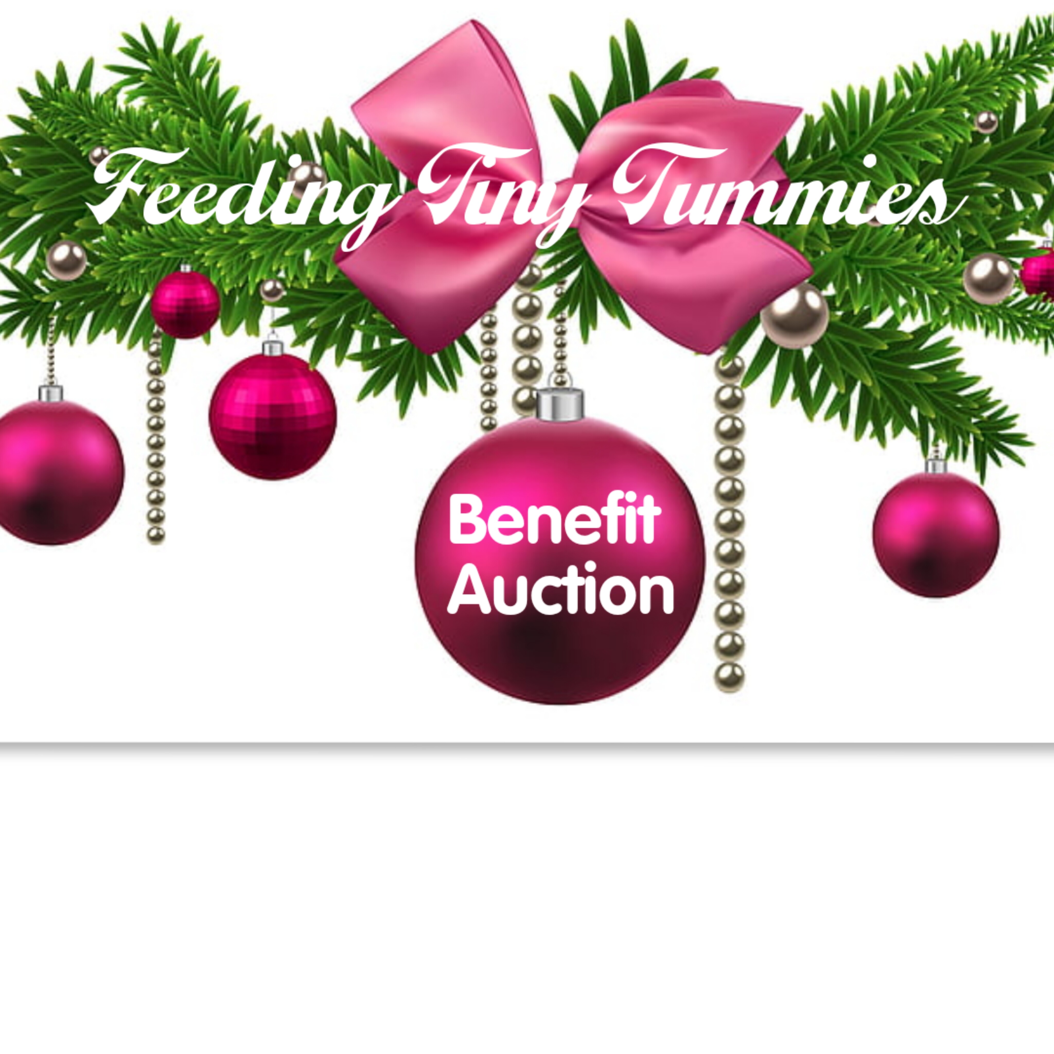 Campaign cover image for Feeding Tiny Tummies Benefit Auction