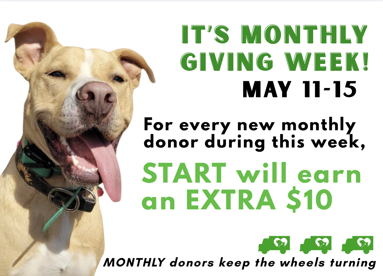 Campaign cover for Monthly Donors - Monthly Giving Week