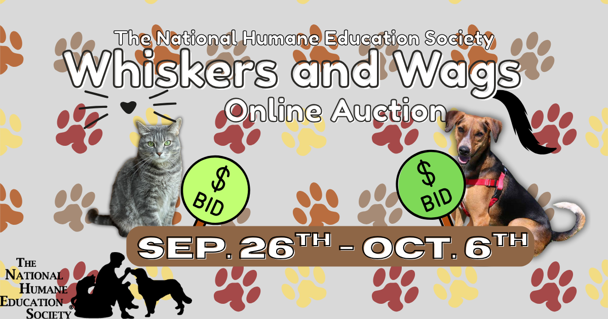 Campaign cover image for NHES' Whiskers & Wags Online Auction 2025