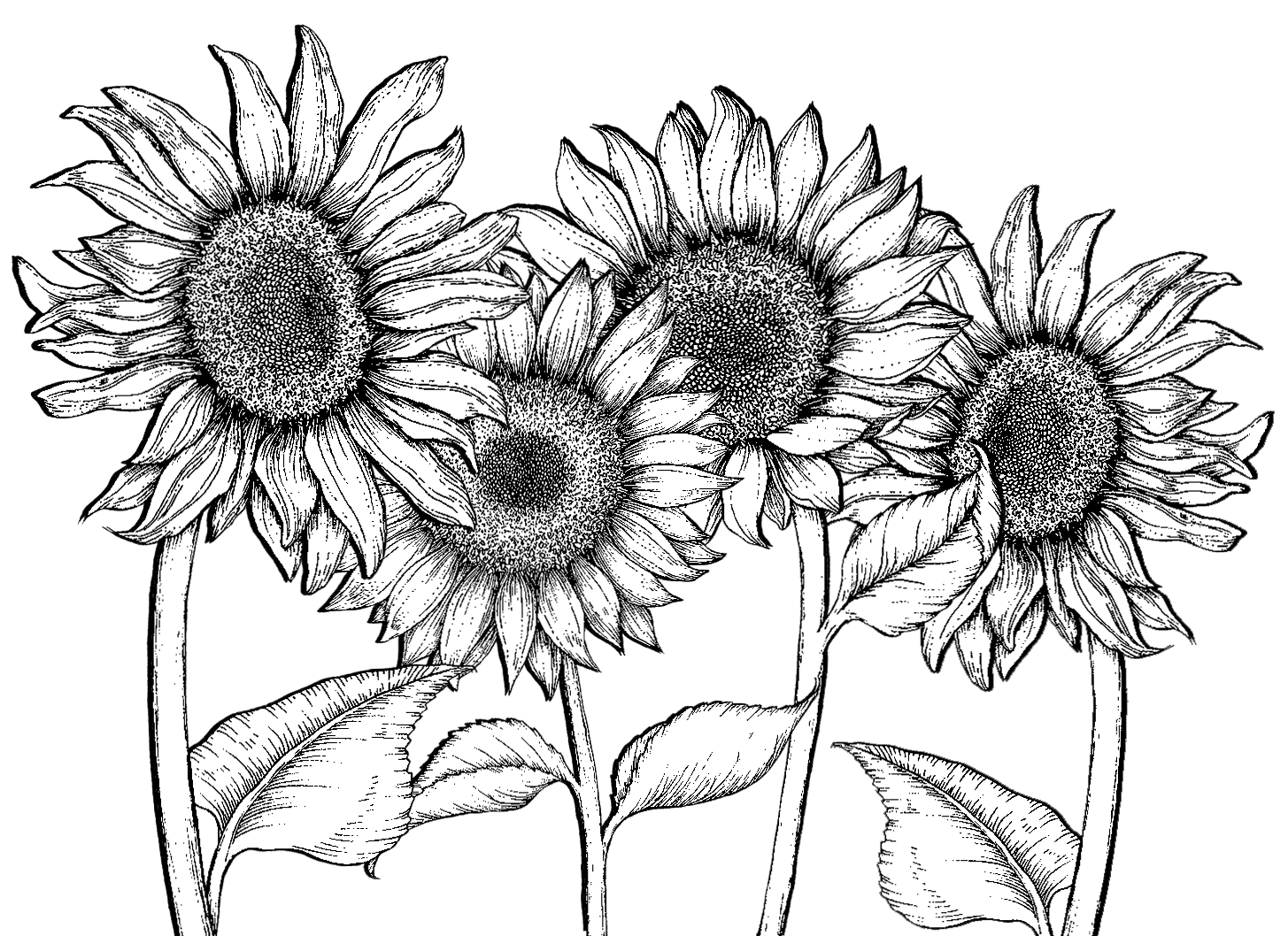 Campaign cover image for Register for the 3rd Annual 5KK!