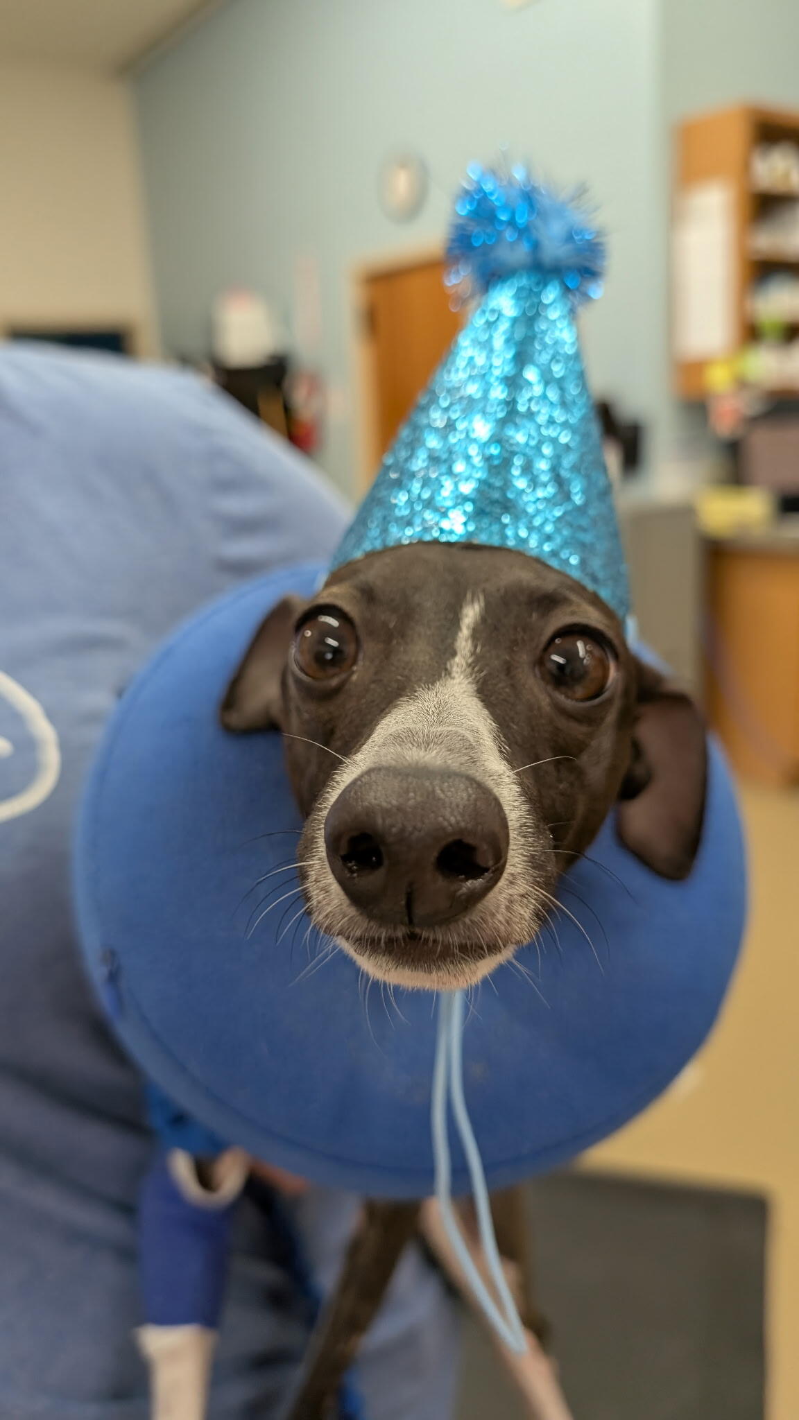 Campaign cover image for Can a guy (not) catch a break!