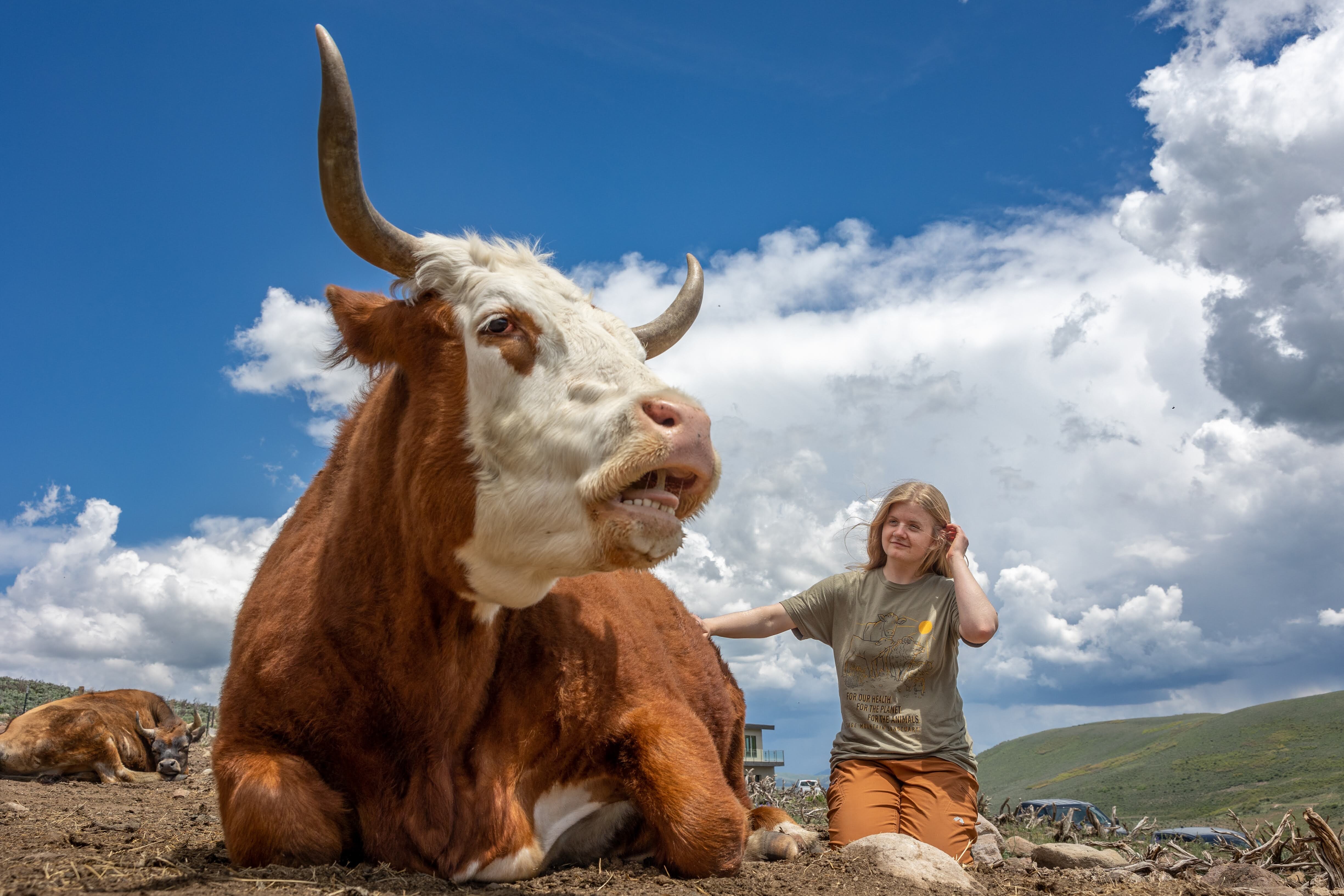 Campaign cover image for Plant Based Palooza Fundraiser