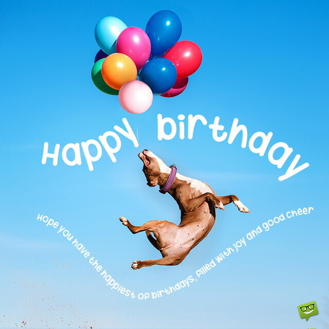 Campaign cover image for Sally’s Birthday 🎂 Fundraiser