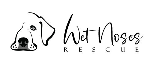 Campaign cover image for Happy Tails of Punta Mita