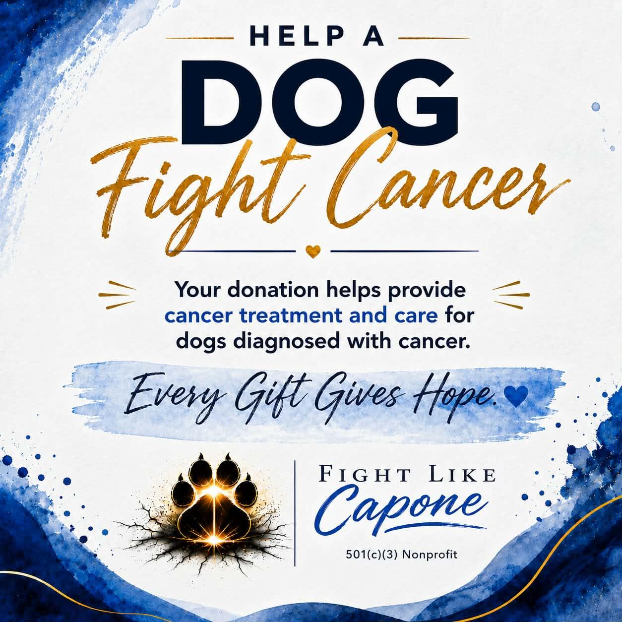 Campaign cover for First Fight Fund