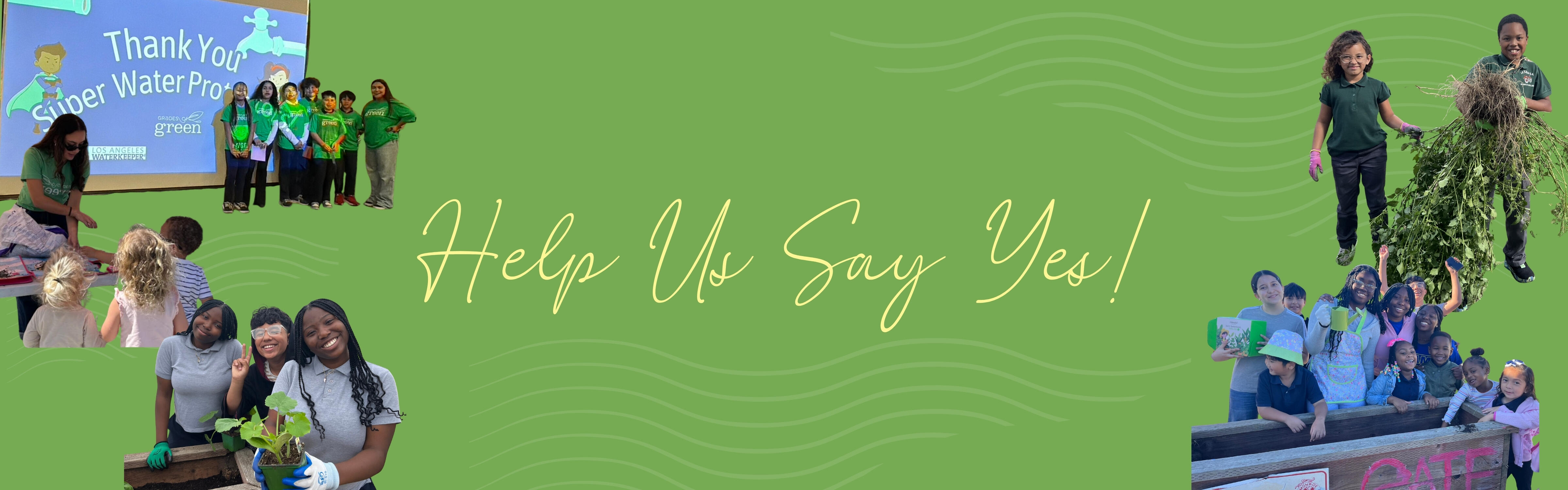 Campaign cover image for Help us Say Yes!