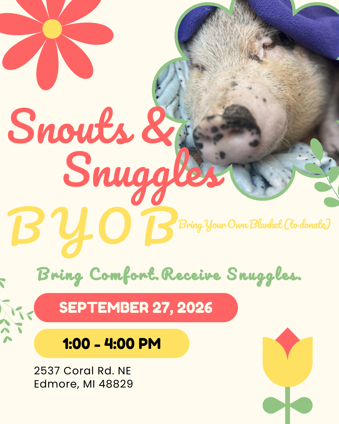 Campaign cover image for Snouts & Snuggles