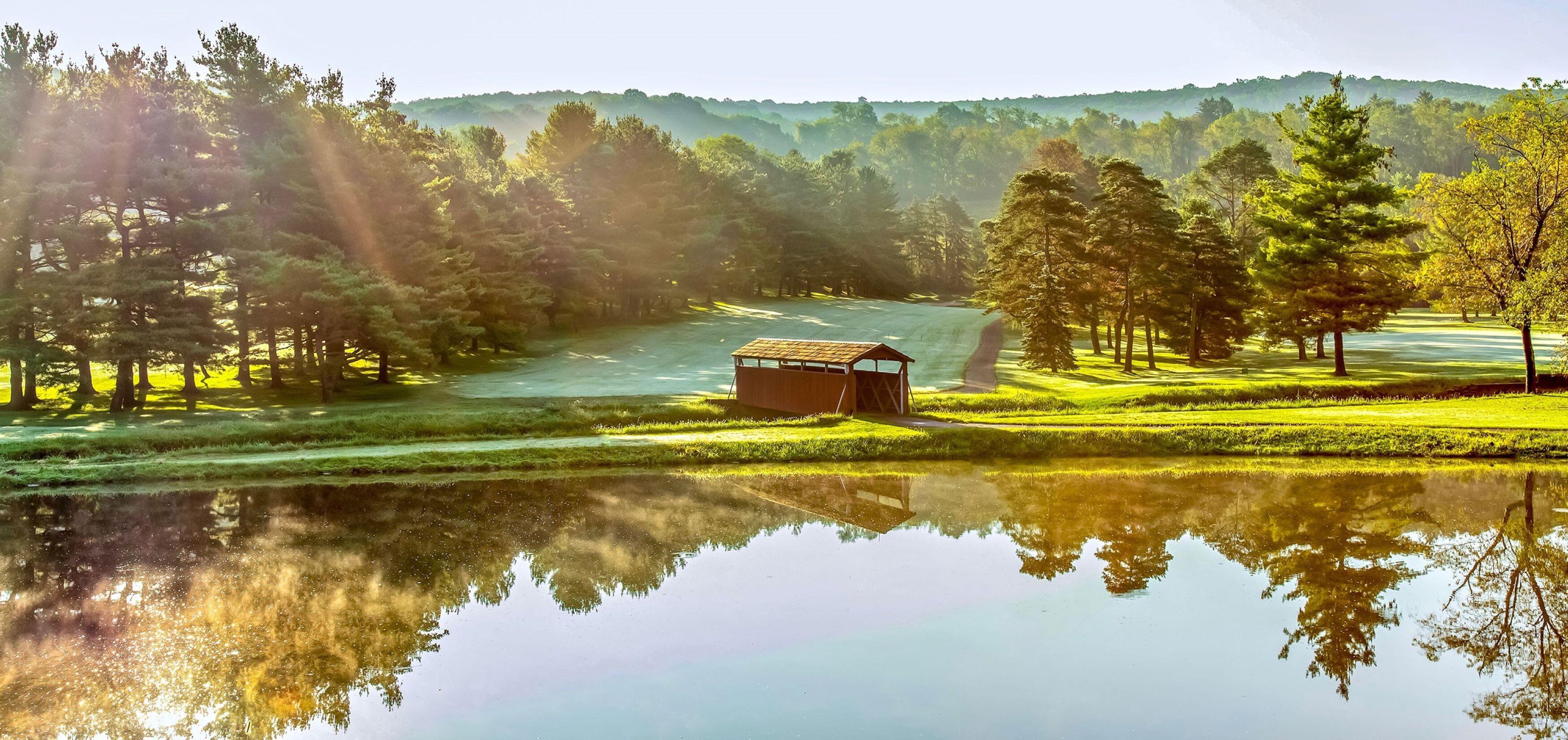 Campaign cover image for Swing for Every Voice