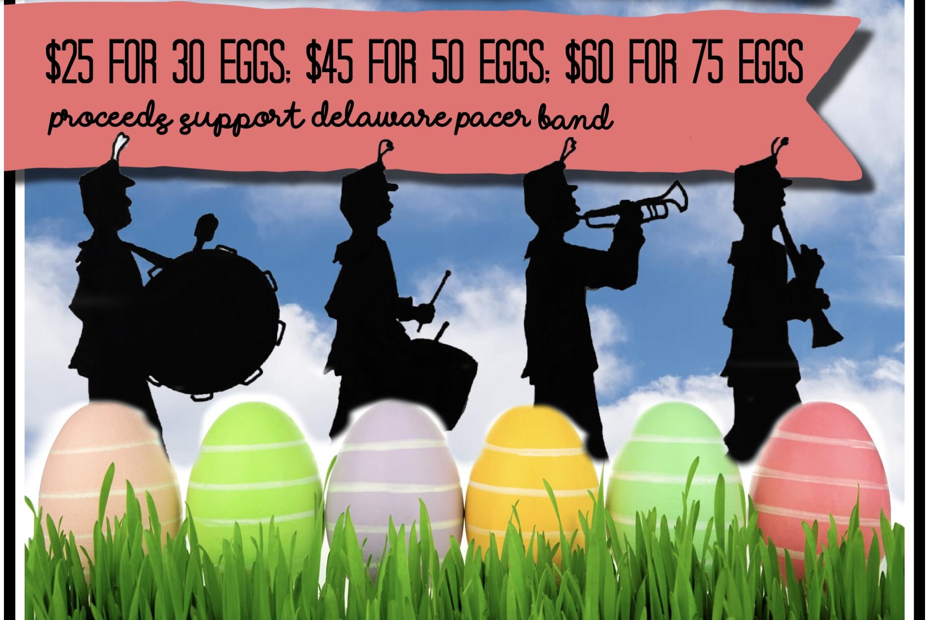 Campaign cover image for Hire "The Band Bunny"