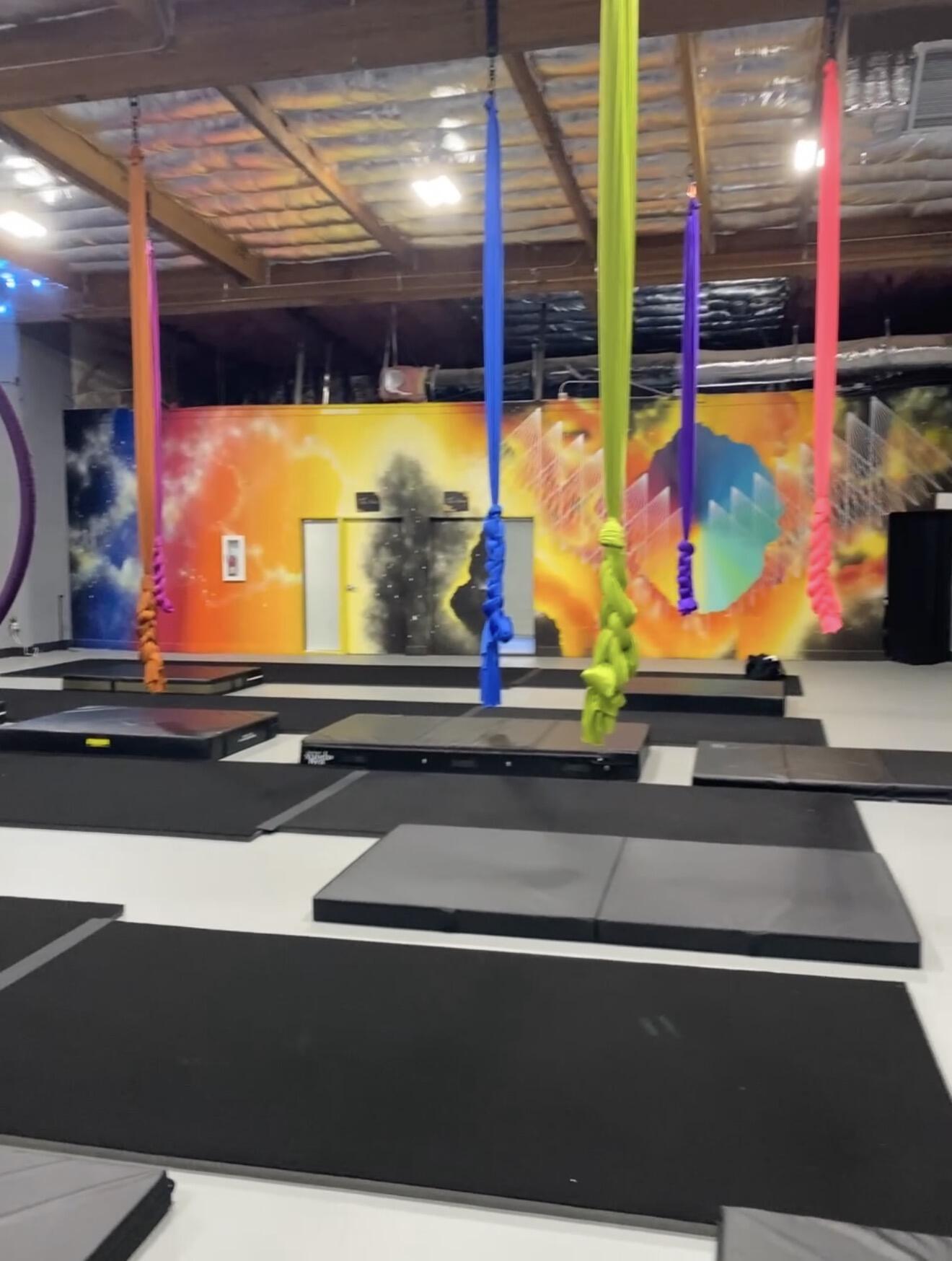 Campaign cover for The Phoenix Fund