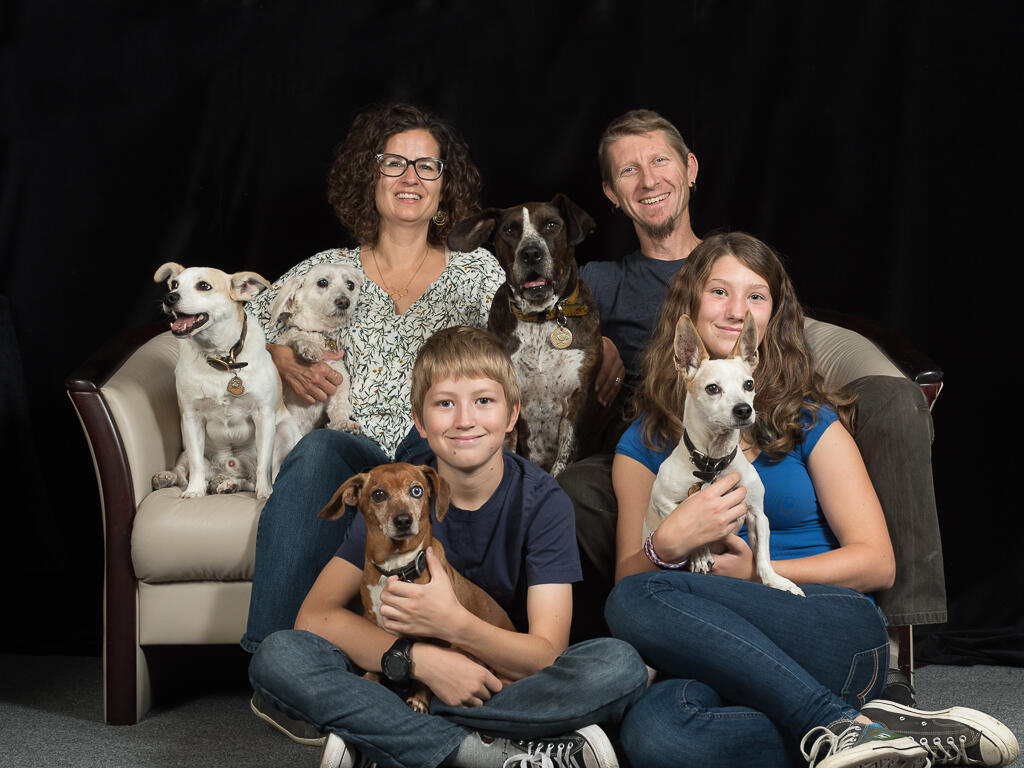 Campaign cover image for Holiday Pawtraits Package Fundraiser