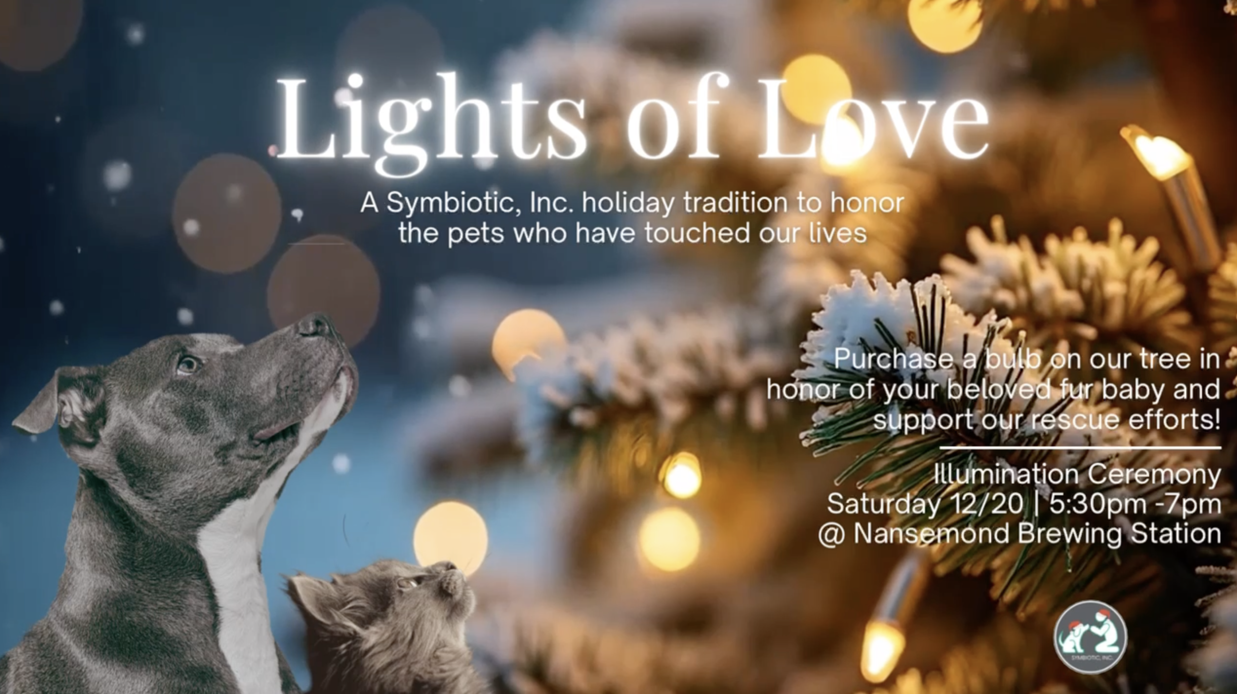 Campaign cover image for 5th Annual Lights of Love