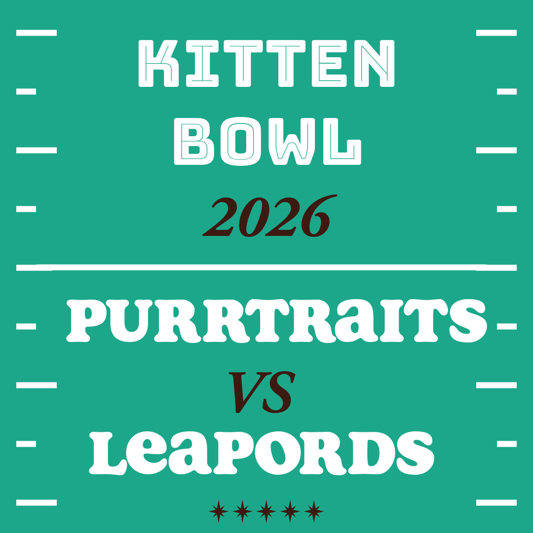 Campaign cover image for Purr Partners Kitten Bowl 2026