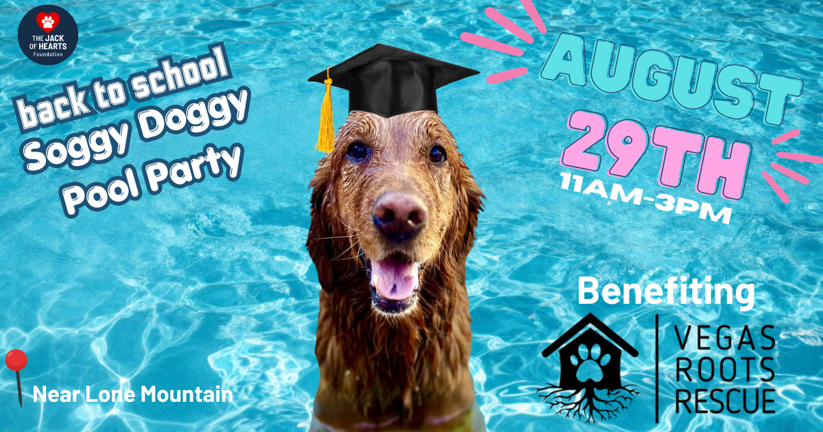Campaign cover image for Back to School Soggy Doggy Swim Party