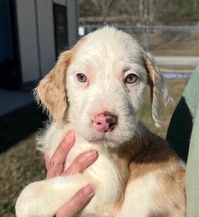 Campaign cover image for February Fundraiser