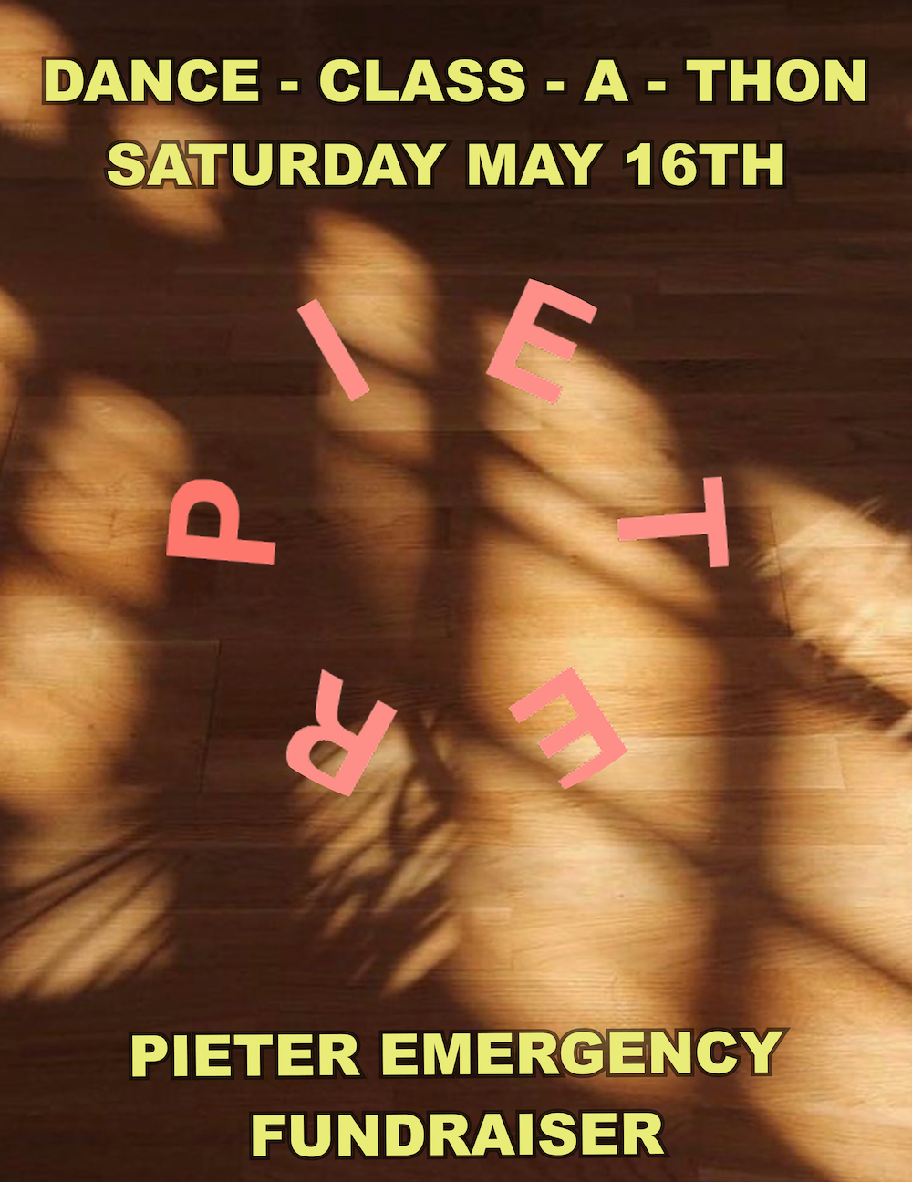 Campaign cover image for Pieter Dance - Class - a - Thon