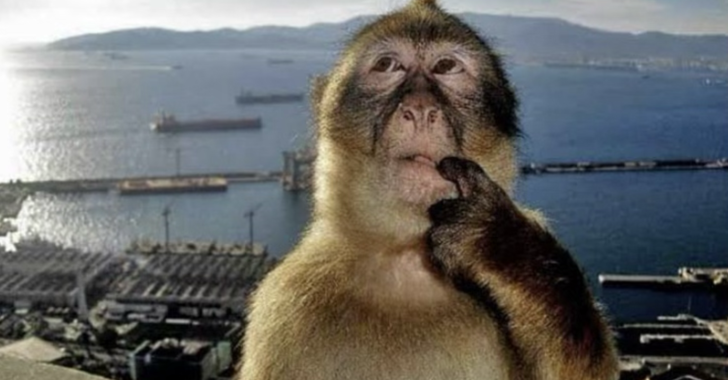 Campaign cover image for Treehouse Collective