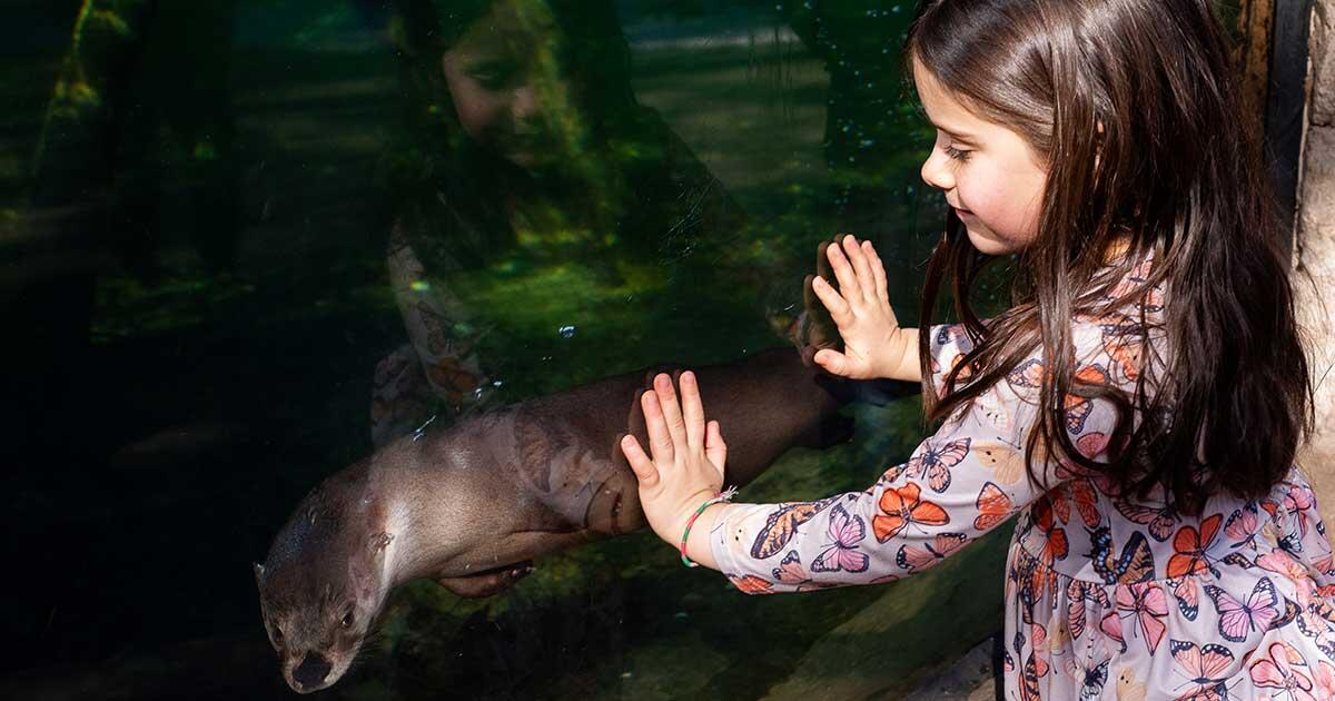 Campaign cover image for My Story - Your Impact