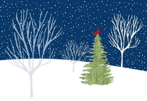 Campaign cover image for Holiday Gift Making with Jen Swan