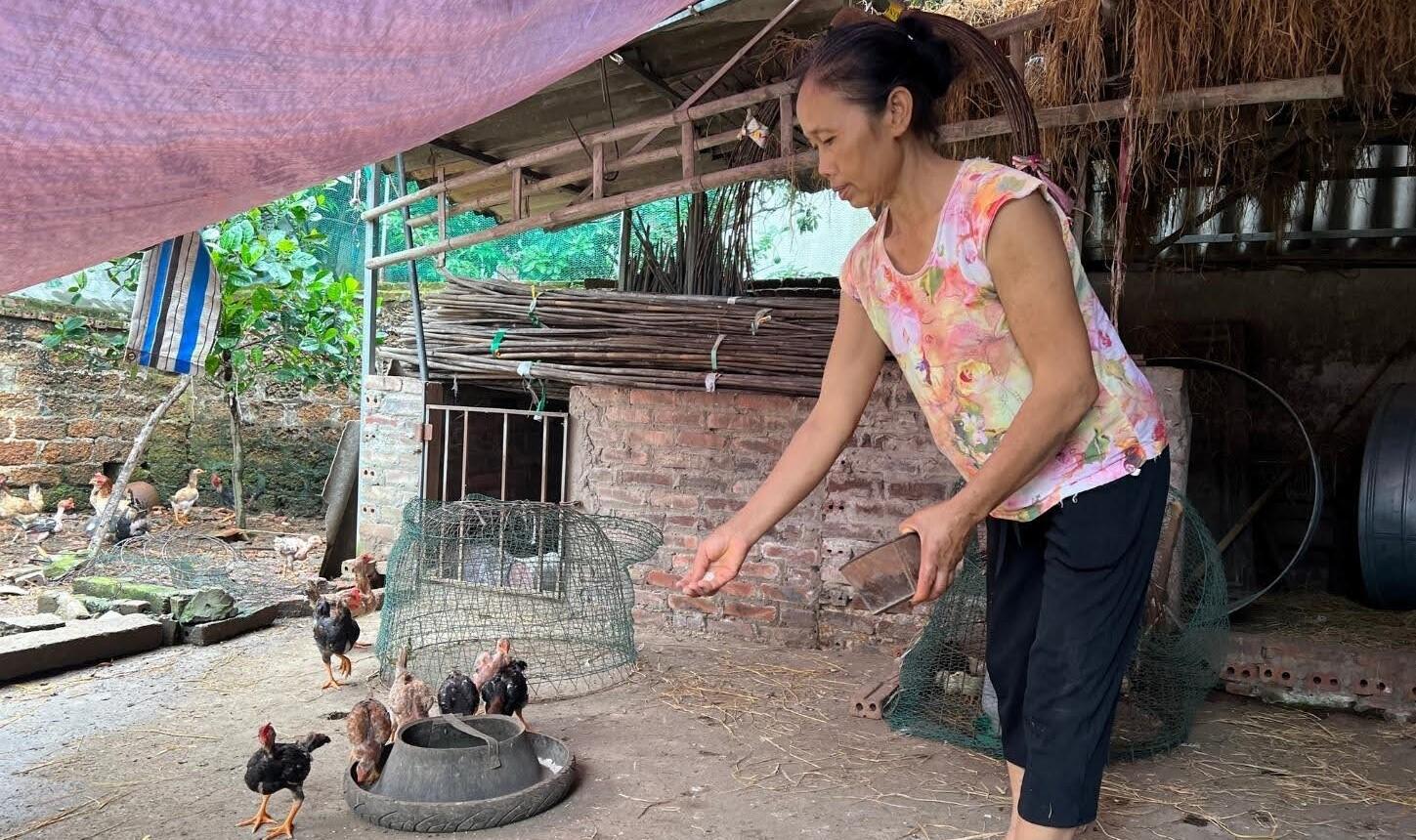 Campaign cover image for Women's Income Connection