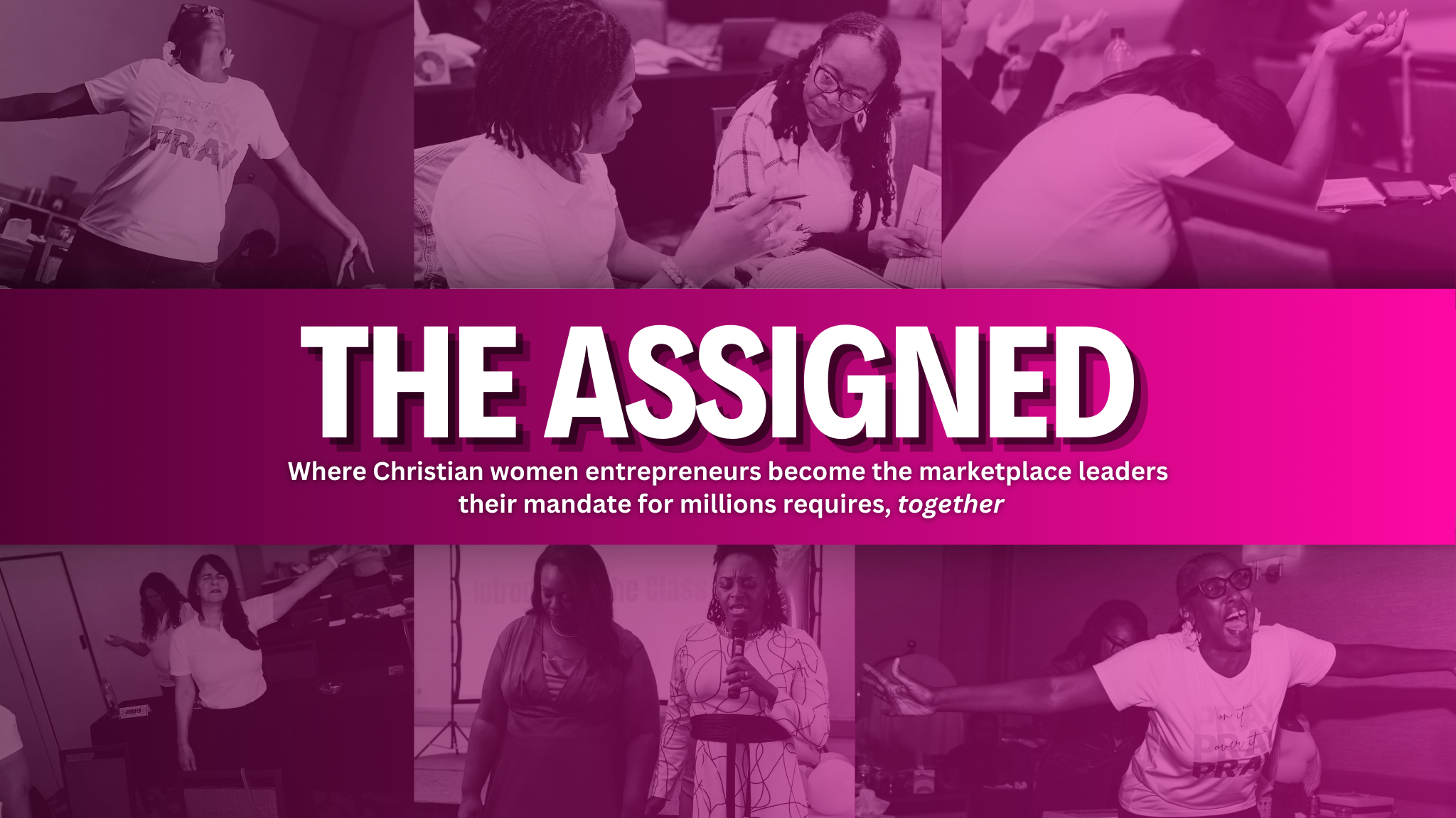 Campaign cover image for The Assigned