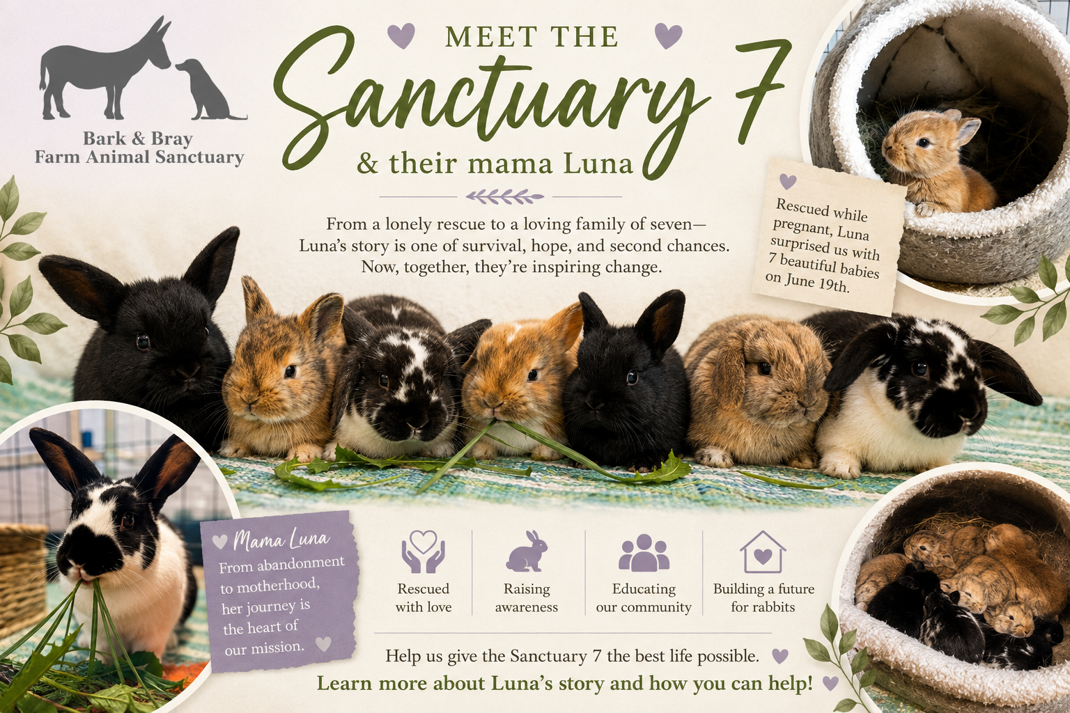 Campaign cover for Sponsor Luna the Bunny