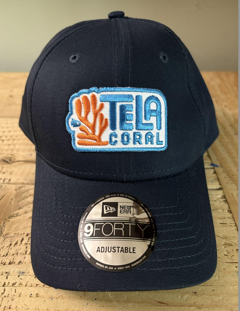 Campaign cover image for Tela Coral Hats