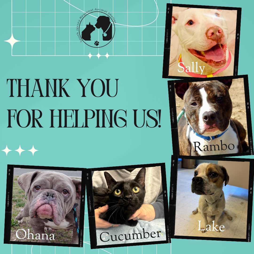 SJRAS Medical Care Fundraiser