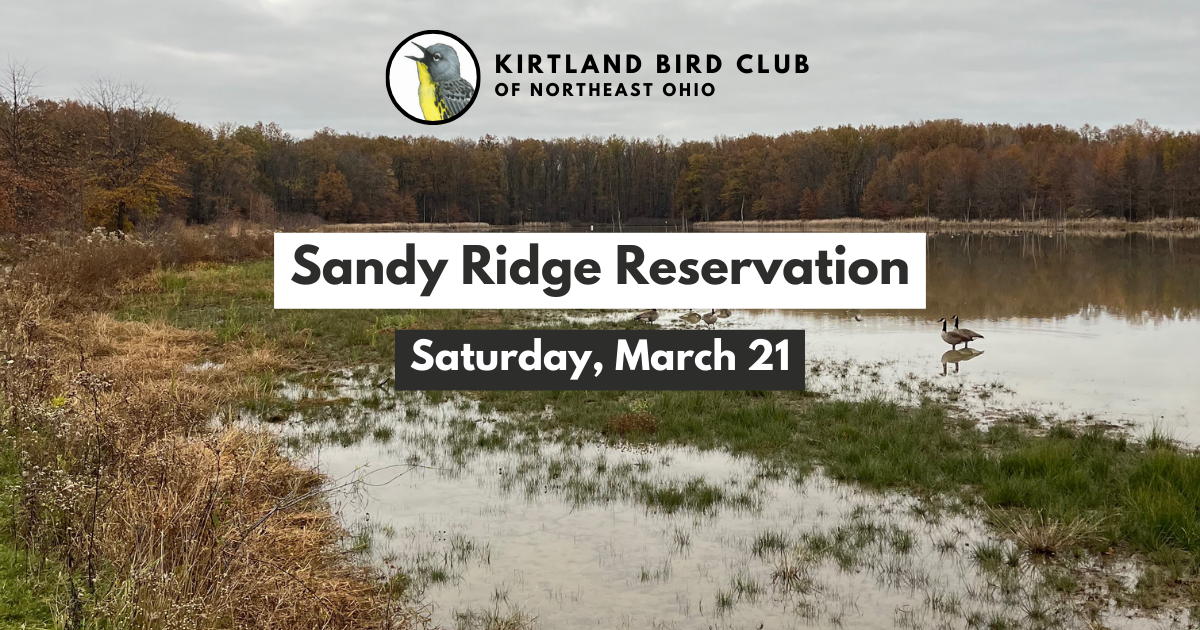 Campaign cover image for Sandy Ridge Reservation Field Trip