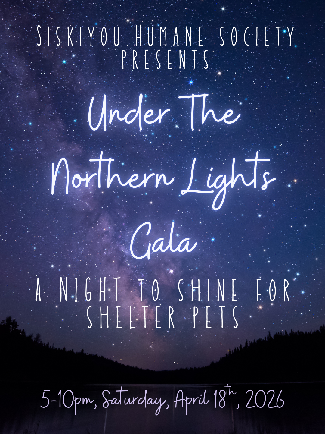 Campaign cover image for Under The Northern Lights Gala