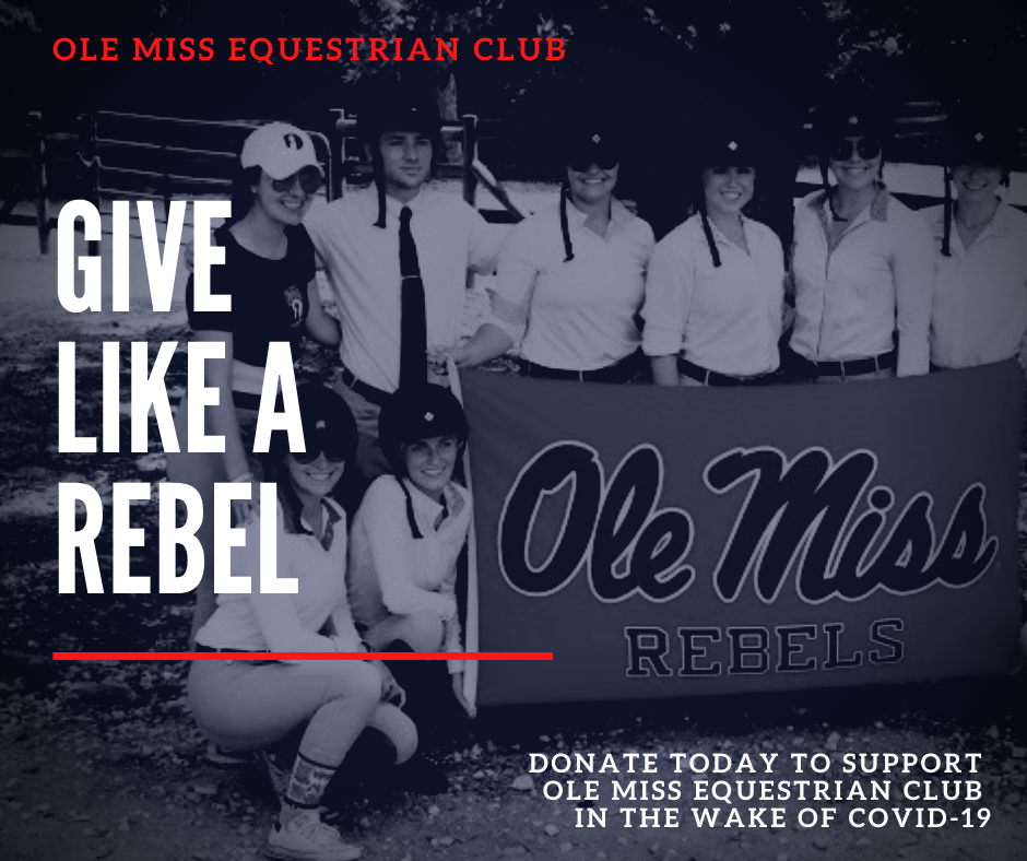 Campaign cover image for Support the Future of Ole Miss Equestrian Club During COVID-19