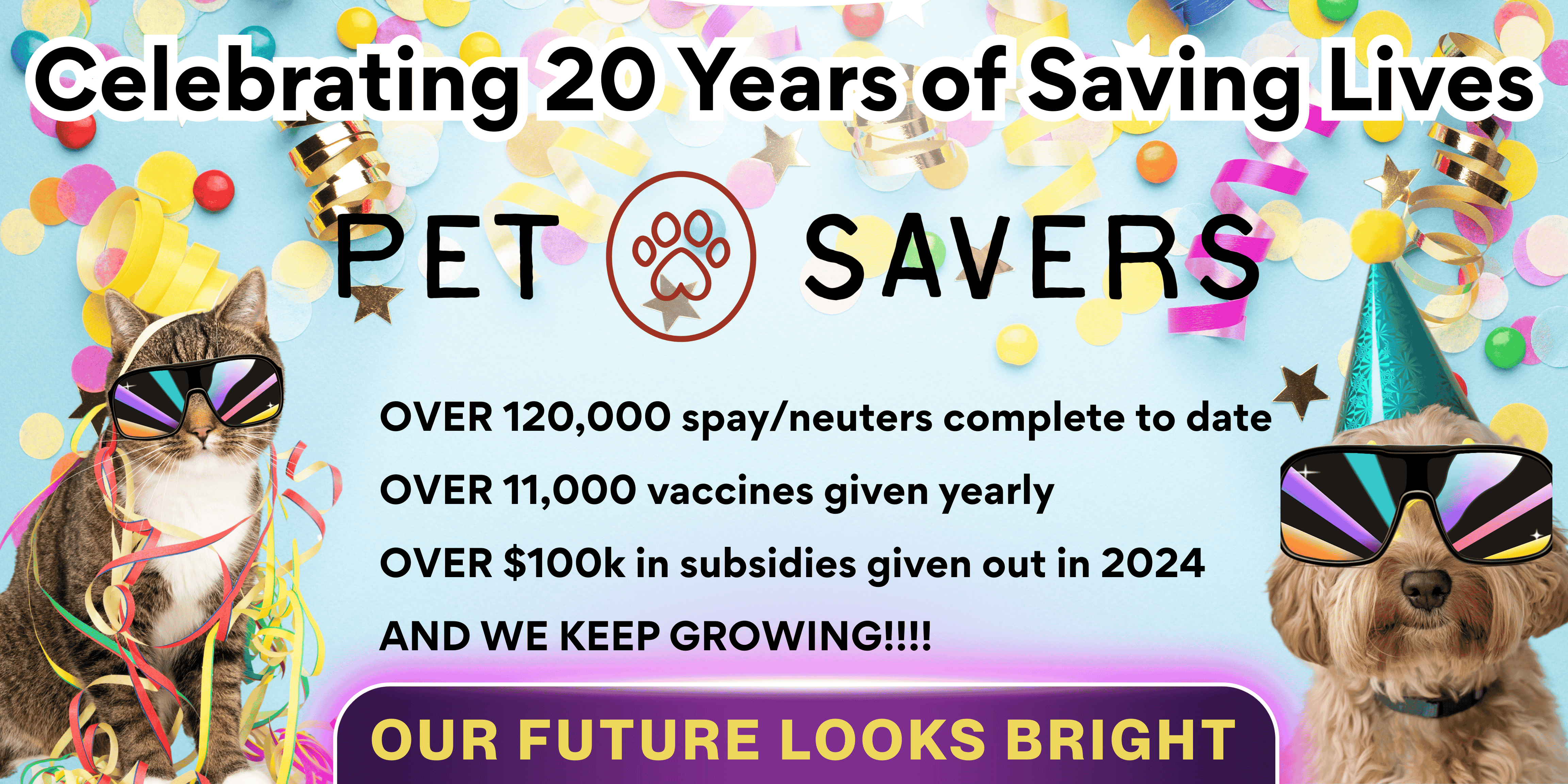 Campaign cover image for 20th Anniversary!