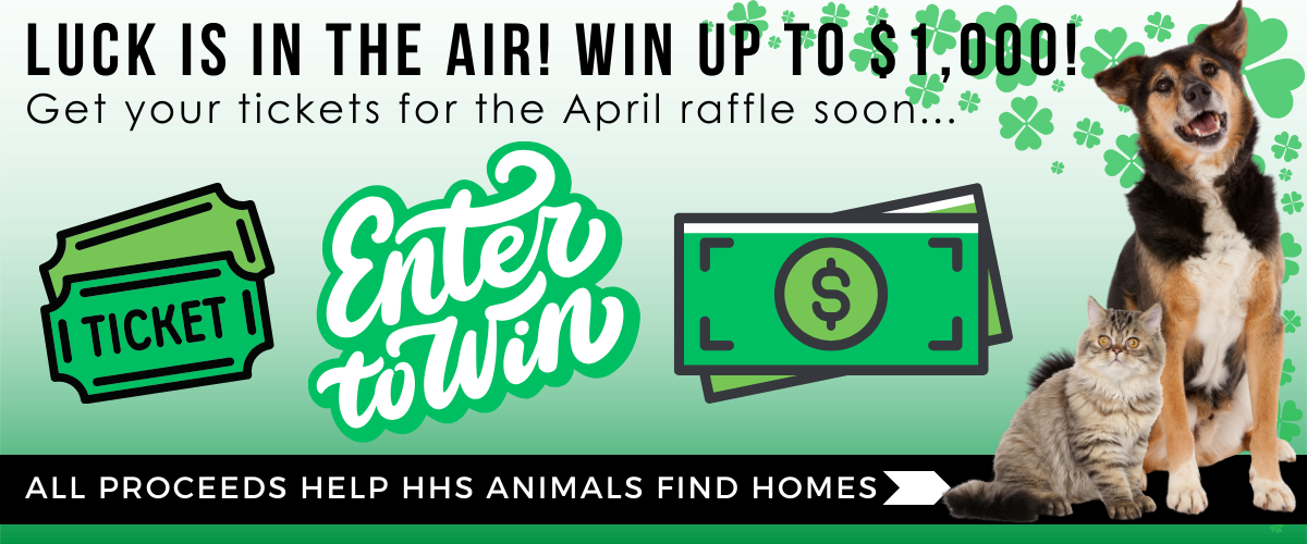 Campaign cover image for Cash Raffle 2026