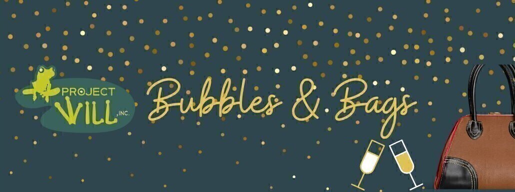 Campaign cover image for Bubbles & Bags Brunch