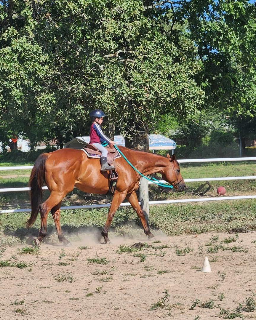 Campaign cover for Sponsor Carlos Sands (Moose)