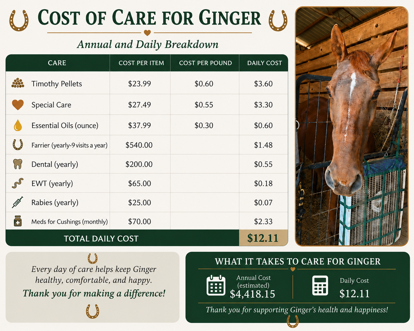 Campaign cover for Ginger Sponsorship